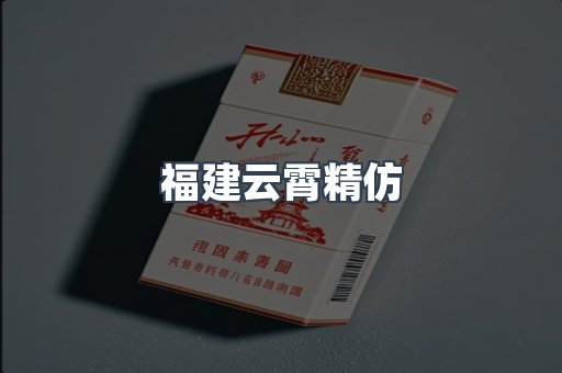 福建云霄精仿